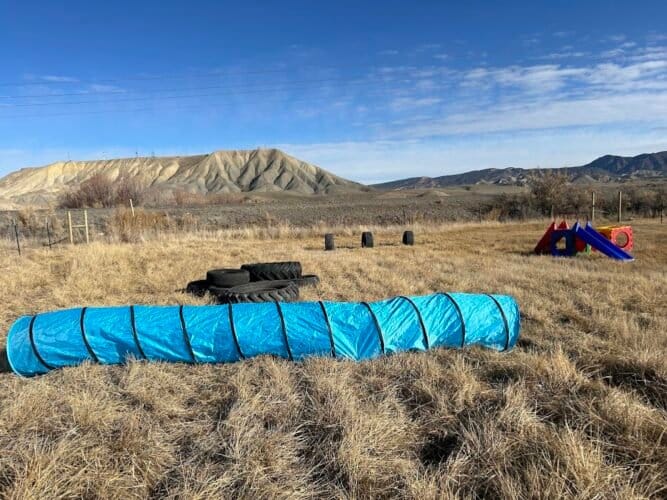 AF1QipOlv q3suJSnD2r8SfNUvGbyH2yORxV GbO5VZLw1600 h1000 k no