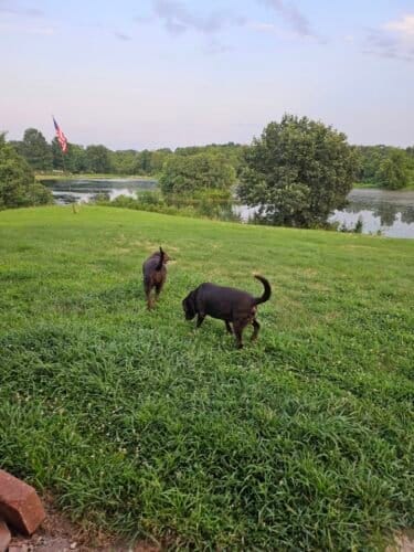 AF1QipOm5h FC8jq18opSrSjf7vYrb2ChumMYaLAEgNDw1600 h1000 k no