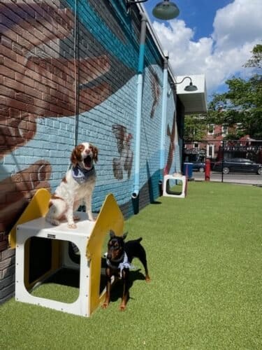 AF1QipOm89eZgpEqDnP7Y3ZR9jnoK2hfLcvag2VdEP33w1600 h1000 k no