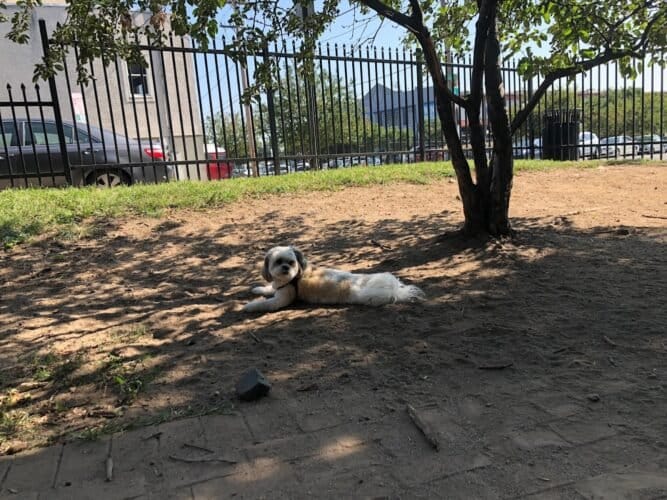 AF1QipOrUffkq0qAimQtc8futbyPgh9xGYptIfrnHJuJw1600 h1000 k no