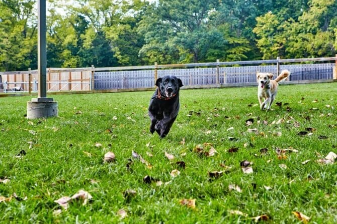 AF1QipOuvXX5UbaTUwTASLTXk Zn GkLtbXBb2Pkvy9qw1600 h1000 k no