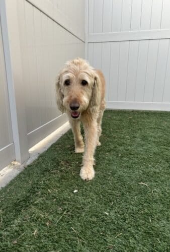 AF1QipOvE8E3mKtBxKQtmC0LswiQPPNb8sk86r0iO0avw1600 h1000 k no