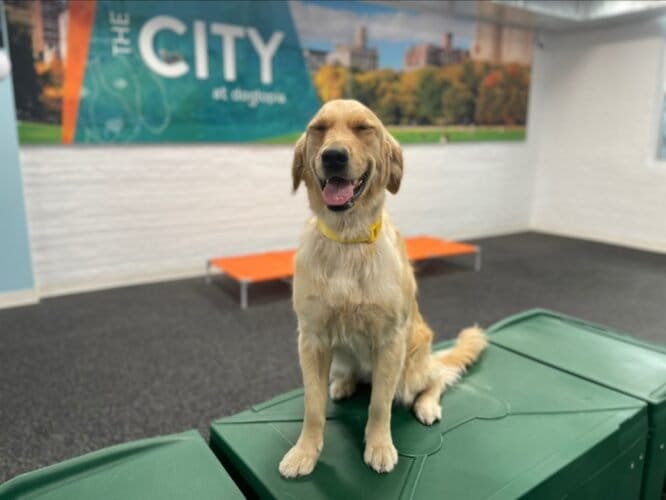 AF1QipOw5mtV96KsHoDYjqc9 S1U zaVOqvgxr7FU2D6w1600 h1000 k no