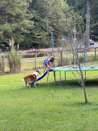 AF1QipOwu4wtUGes8naAvd5U358OPee6TmYNkAM5lb5 w1600 h1000 k no