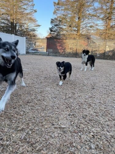 AF1QipOy WIJ61pqjR1qGvNjBPnhu76whskQvMQQ4Bh2w1600 h1000 k no