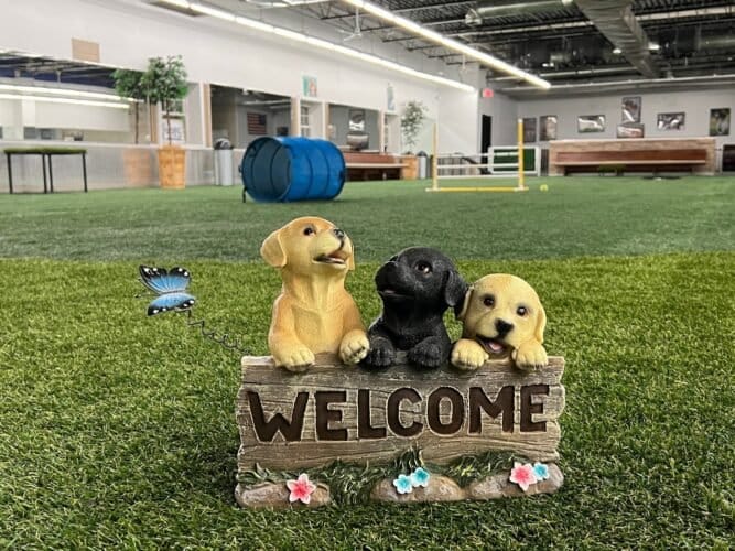 AF1QipP0klanQTFMqzBb6  Hf uExCZlQG5ILnKLIzB1w1600 h1000 k no