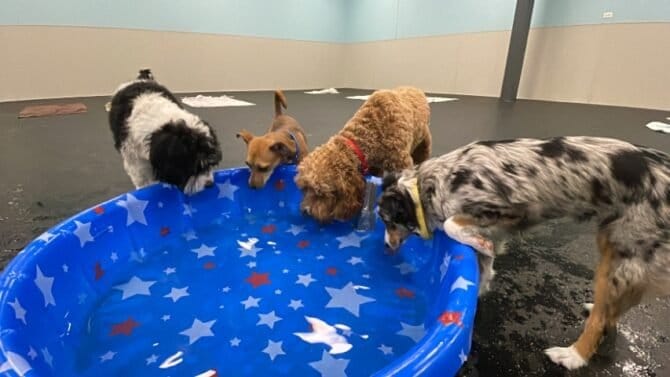 AF1QipP16Yd0jRl5MmU7ZWwYWTf0sZ3fN7 ix4H0Y 8iw1600 h1000 k no