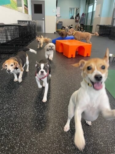 AF1QipP1 zWsroAtaOQF52gcGC PNBAf7KY0iH5qqxM5w1600 h1000 k no