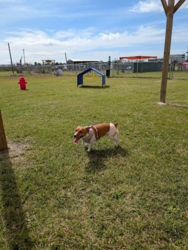 AF1QipP2K5d LcUVG9UKKYJzwQFmL2TtzFFMYDYBHUCDw1600 h1000 k no