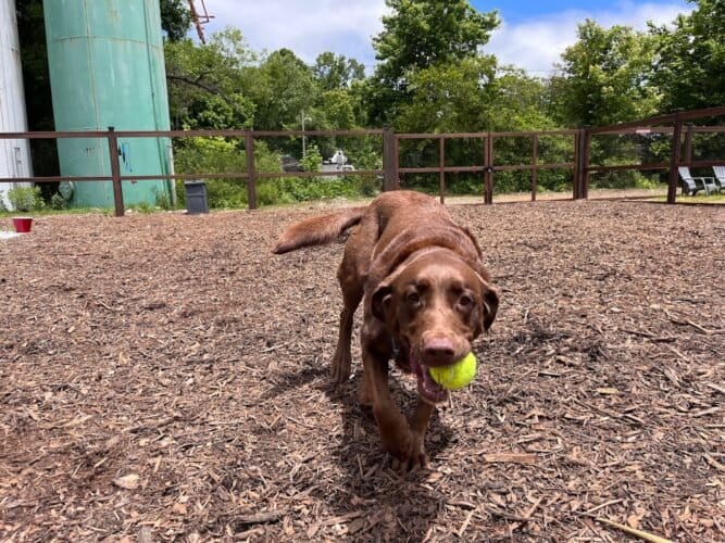 AF1QipP3H7xQhDVXq4D1k2A4FzMD9GBL 0EQHOR4IbE3w1600 h1000 k no