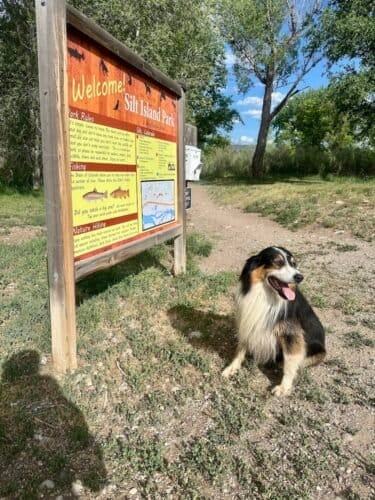 AF1QipP3NX2m l 8n0rxwT5 b JnnwU74wkq K8REbvYw1600 h1000 k no