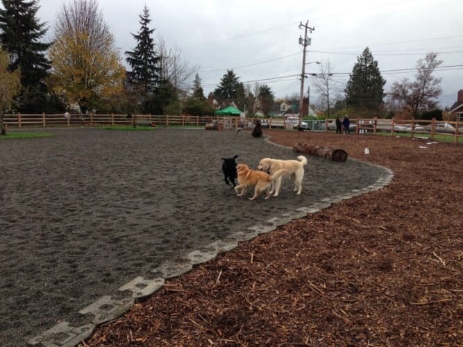 AF1QipP4Gsiq5mqRlYtEkTHt3f6A3Nu4E0p2rAZKcZRqw1600 h1000 k no