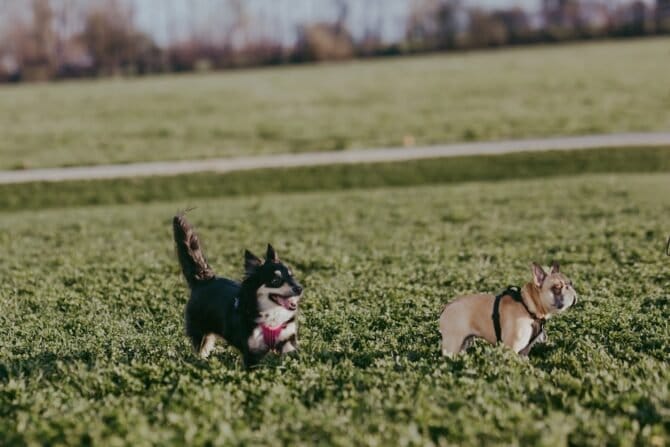 AF1QipP7UqIa4EBm79w EtF2qSayKgdmwg3aR86H5Xfiw1600 h1000 k no