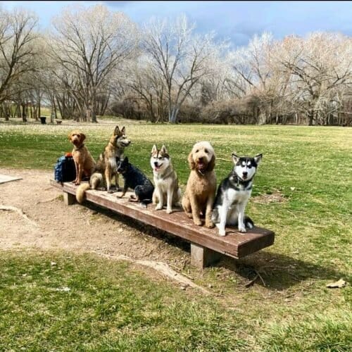 AF1QipPBBDqzVYTFhRUaKWbCWsyuuhA9H0UI3cXGTdV4w1600 h1000 k no