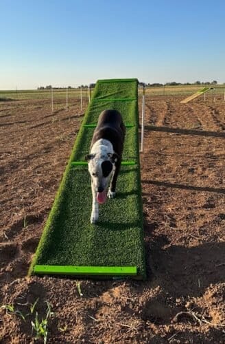 AF1QipPDzbT OQ5oz gTFQZ6cwBC78aefNmJPWCecMRVw1600 h1000 k no