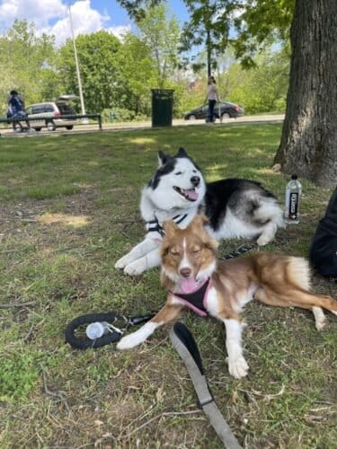 AF1QipPFWYxqCnOUXqBGKUSkYsZQpdtwATNK iCcauJWw1600 h1000 k no