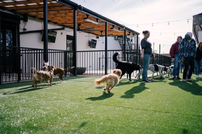 AF1QipPFum7xXbrJ 2yh9vo8mXbO57ta7Fj5ftm3Oh3dw1600 h1000 k no