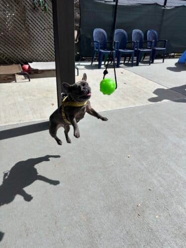 AF1QipPGvuhIi5GGx4S yYupwpsk0nDA TJnIzj2iddDw1600 h1000 k no