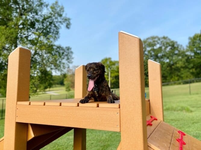 AF1QipPIJgadQMIwvYHM2Sc2fT9tFHB1kPZFODas A9zw1600 h1000 k no