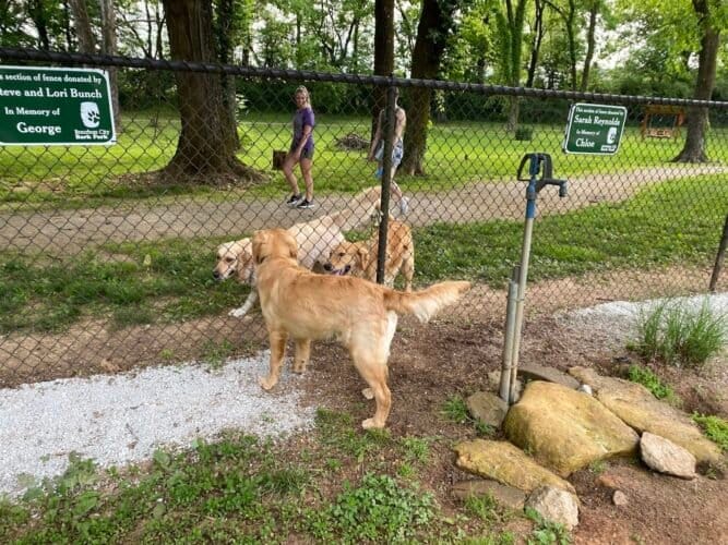 AF1QipPIM3Ho9 tzP3SX2d88arQ gvGppxD6COxGyFfhw1600 h1000 k no