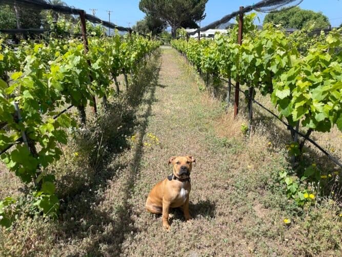 AF1QipPKg1D 6Zb66H1kp4GpiPFbqdB8fz55N 5GDVhJw1600 h1000 k no