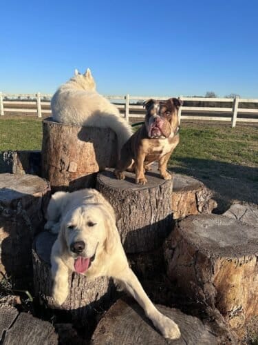 AF1QipPKonJnzpAB8UKx3PkiVlZgvJfD2tCToBSxUjjyw1600 h1000 k no