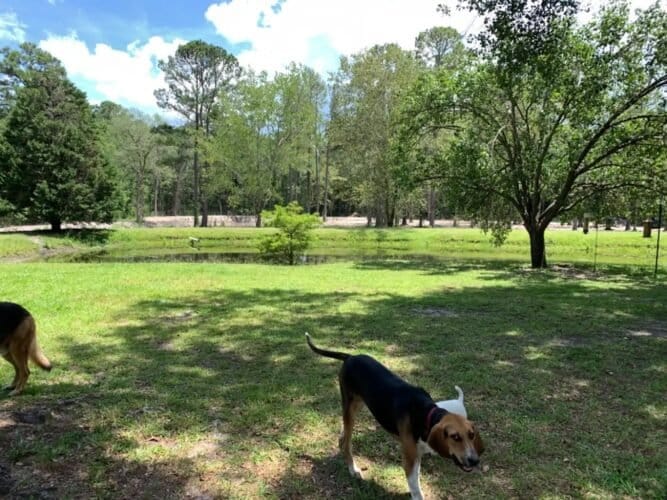 AF1QipPOEVHjYd2R2SqSGf8M71bxxzQdppcKZr4riQw1600 h1000 k no