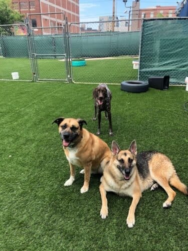 AF1QipPQbLHagMdFRsZUBFUEC1kKLOCjH56HvdL3G8CGw1600 h1000 k no