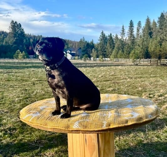 AF1QipPTV7o0J0DYUjyV5evZ Z57kbJaJ4zfkJzA7pjyw1600 h1000 k no