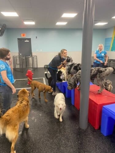 AF1QipPTq NmtO3TAQzBzYMRjrGdHhp28ln9Ef5DJH0w1600 h1000 k no