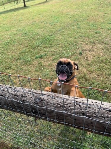 AF1QipPUg Tbg qznJnGFMS4uR2FmVOKgDNRn0Lgmxpxw1600 h1000 k no