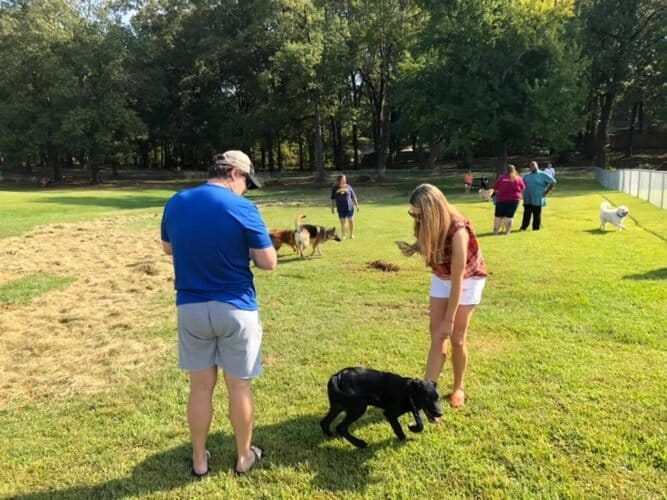 AF1QipPVPdV3wqx6CFa79fdjswaqf90W6Ih3TjnPxyw4w1600 h1000 k no