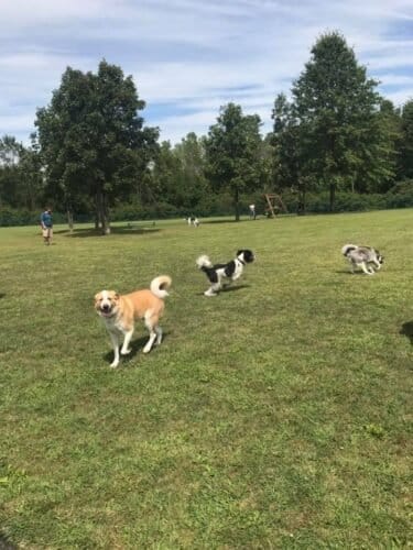 AF1QipPW4hYUYm8sIldIepFJU1FSPnDfqcEVM9 kRQKyw1600 h1000 k no