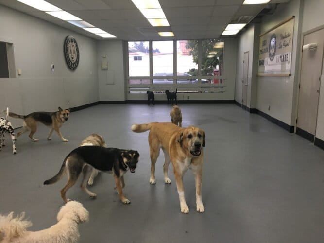 AF1QipPWRw3GiQJxE OFWxRcWVoCRXUQM4Et0XF7IGadw1600 h1000 k no