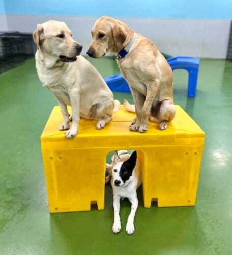 AF1QipPYVKj4Rxc1MDUHm4S2VAE4 TQdatG R1AMBzePw1600 h1000 k no