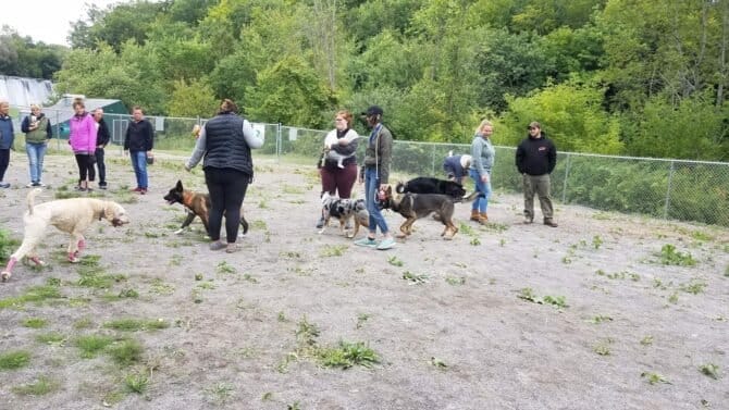 AF1QipPdTKsTXbgFBc6qSIt5QveczHRDczu7gsiVe8gkw1600 h1000 k no