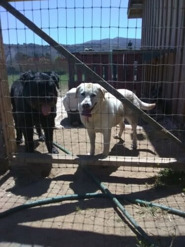 AF1QipPeGz2pgnaUIYPVugt7okRtie8gBv920ixYQvDZw1600 h1000 k no