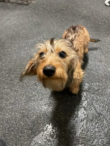 AF1QipPjzmziIHZQZtiMppMucFLlscwyDWYzU iNrV6Dw1600 h1000 k no