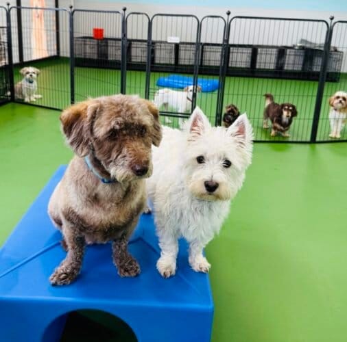 AF1QipPkGaeNYusnnjkYec47mdmJgEtp8WyV00 mYU9fw1600 h1000 k no