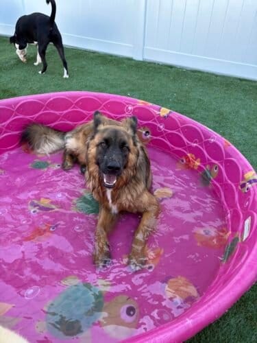 AF1QipPmrc3R6Sh 6NFugen10ezDcox1ew4jSZq2B Szw1600 h1000 k no