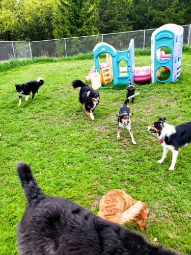 AF1QipPuQnj37C5gwHW1EmK2p0ZfLBZAG5OADabtZMITw1600 h1000 k no